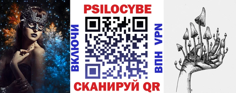 Псилоцибиновые грибы Psilocybine cubensis Энгельс
